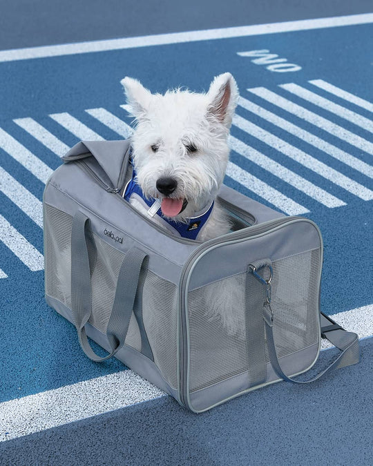 Portable Pet Travel Carrier
