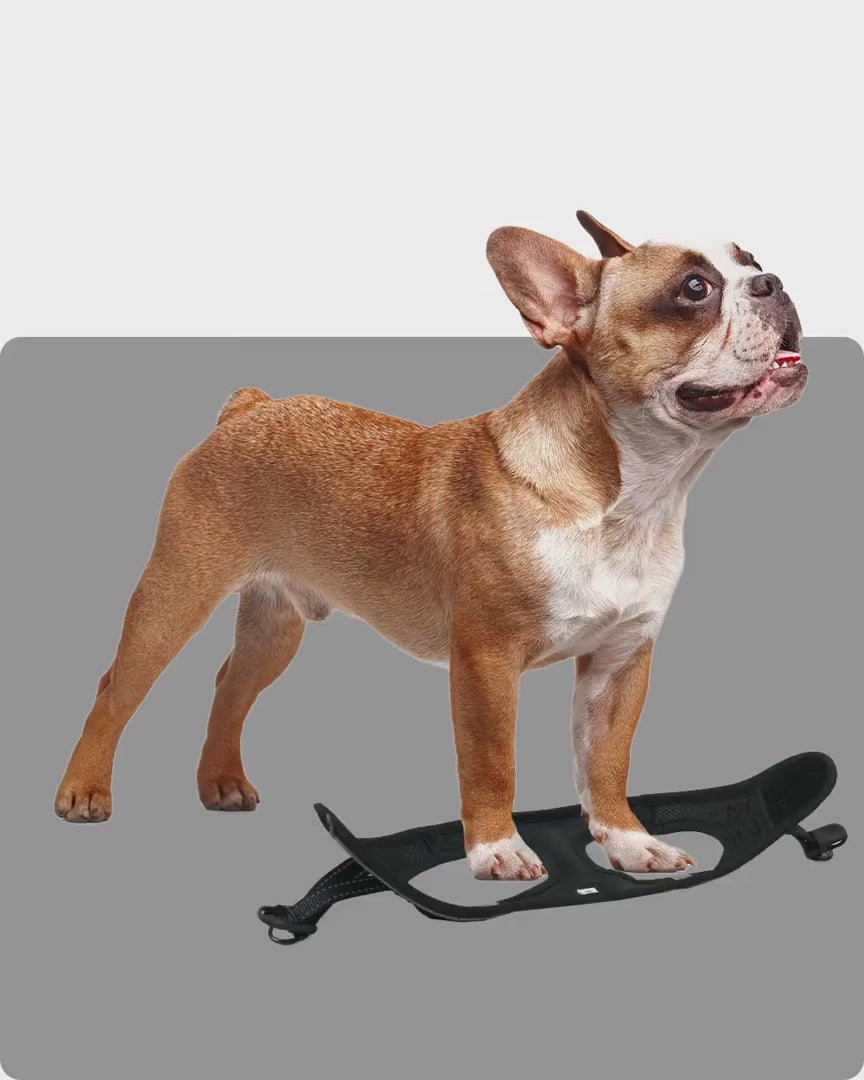 OxyMesh Velcro Step-in Harness and Leash Set