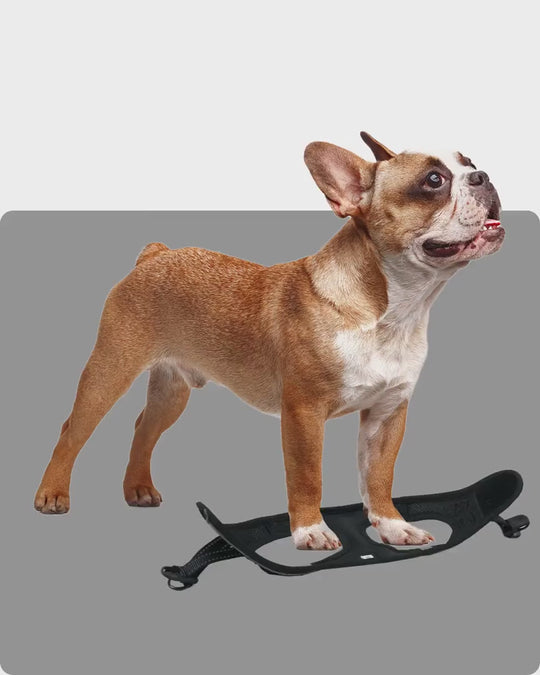 OxyMesh Velcro Step-in Harness and Leash Set