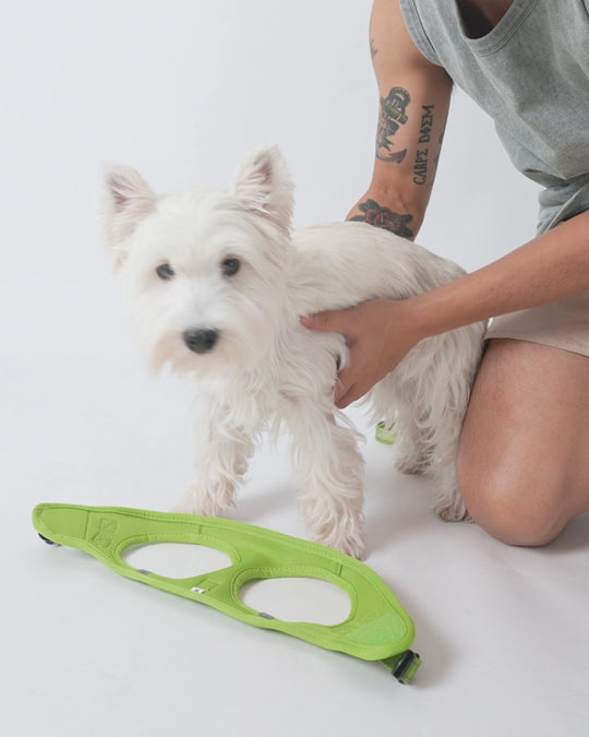 OxyMesh Velcro Step-in Harness and Leash Set