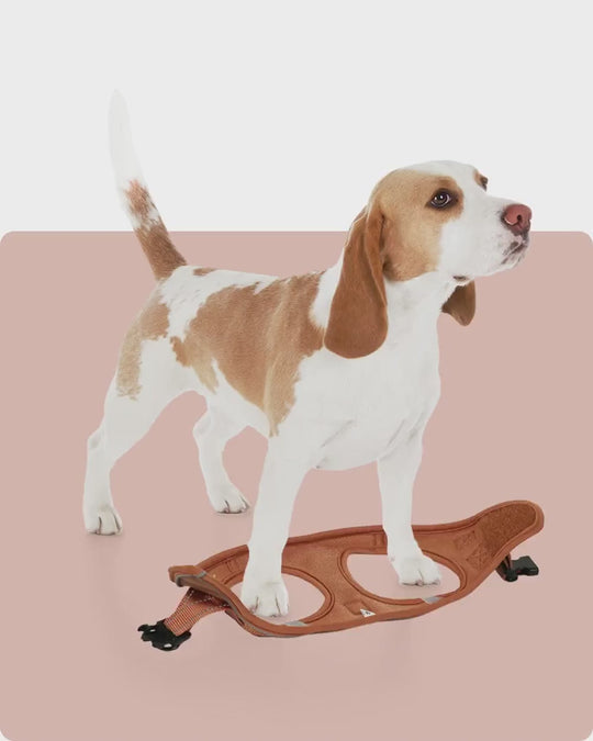 OxyMesh Velcro Step-in Harness and Leash Set