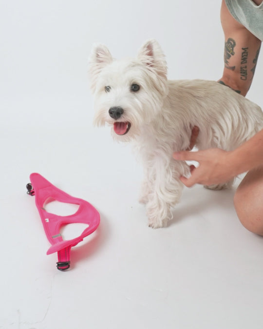 OxyMesh Velcro Step-in Harness and Leash Set